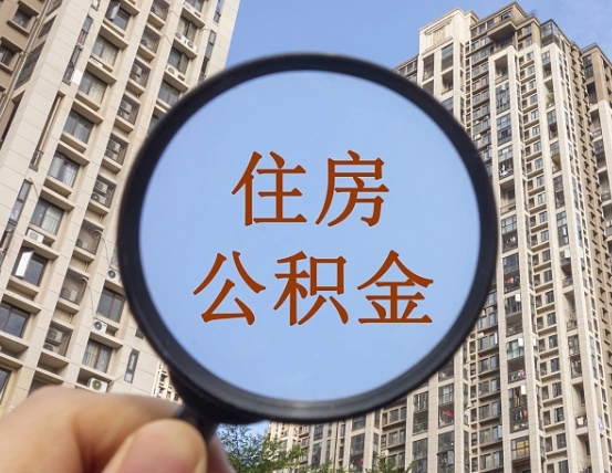 鹤壁单位补缴公积金需要什么手续（单位补缴公积金需要什么资料）